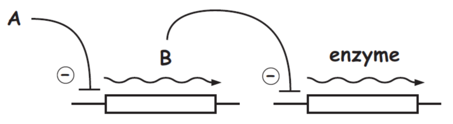ab_model_1.png