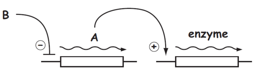 ab_model_2.png