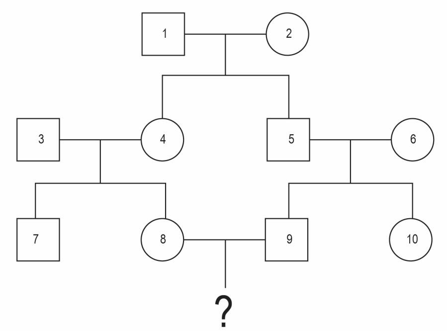cousin cross pedigree
