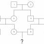 cousin_cross_pedigree.jpg