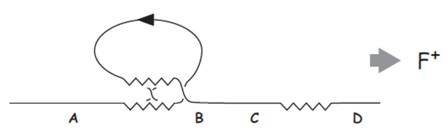 f_excision.png