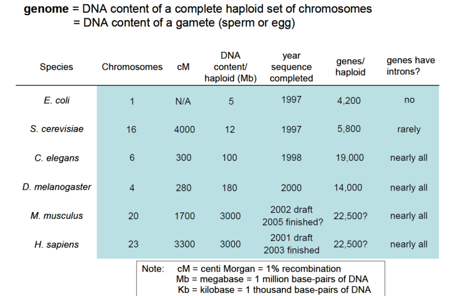 genome_comparison.png