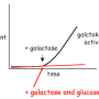 glucose_represson.png