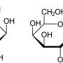 iptg_and_galactose.jpg