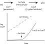 lac_growth_curve.png