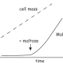 mal_growth_curve.png