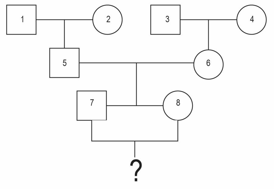 sib cross pedigree