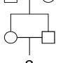sib_cross_pedigree.png