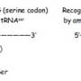 trna_suppressor.jpg